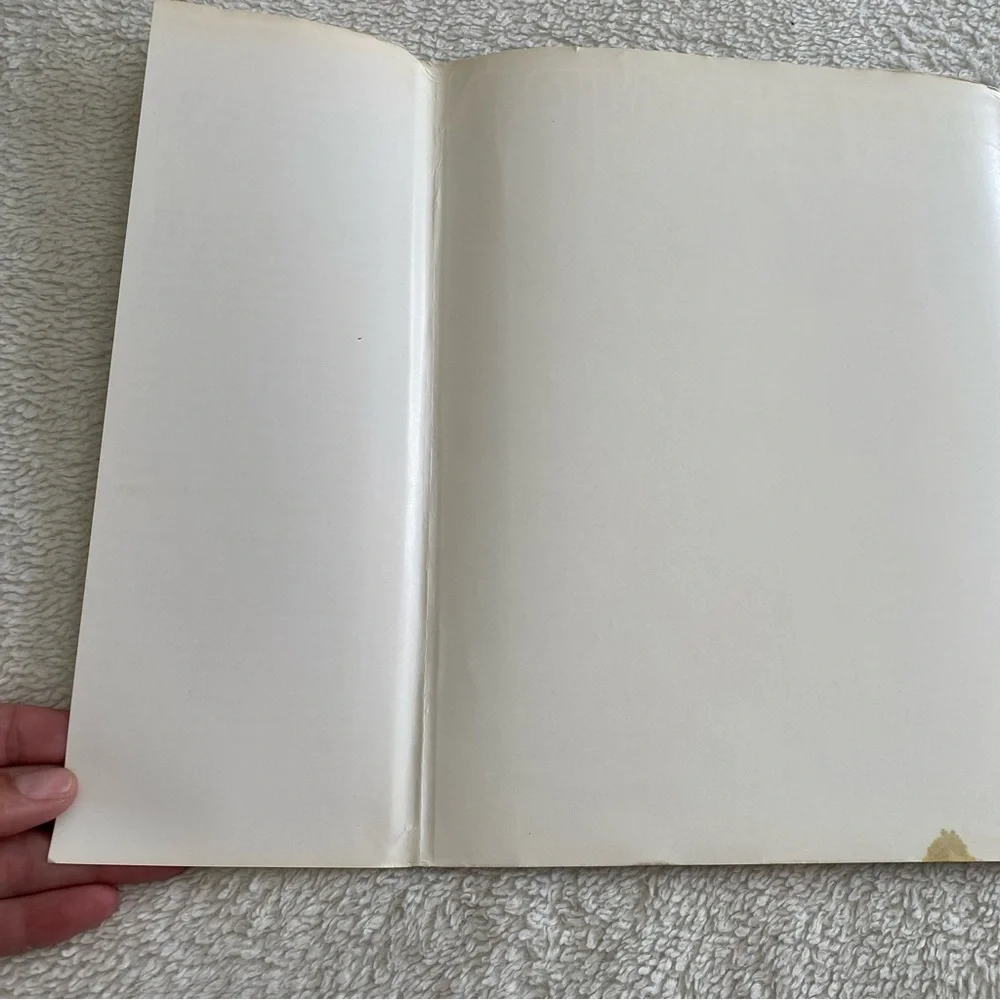 Egyptian Museum Cairo hardcover 1977 museums of the world - Picture 10 of 11